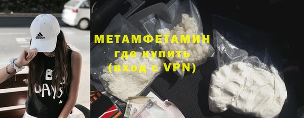 ПСИЛОЦИБИНОВЫЕ ГРИБЫ Заводоуковск