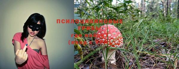 прущий лед Заволжье