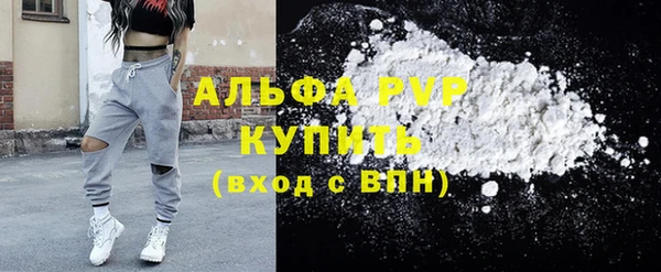 ПСИЛОЦИБИНОВЫЕ ГРИБЫ Заводоуковск