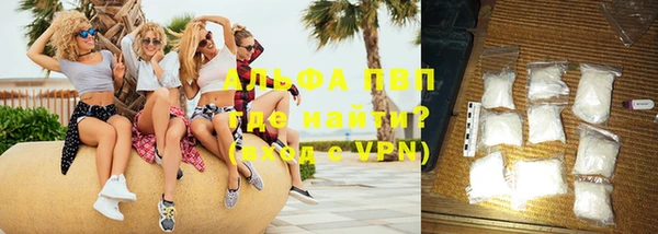ПСИЛОЦИБИНОВЫЕ ГРИБЫ Заводоуковск