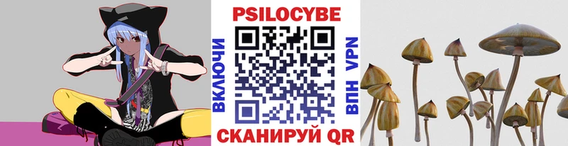 Псилоцибиновые грибы Magic Shrooms  Купить  Конаково 